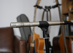 Shure SM81